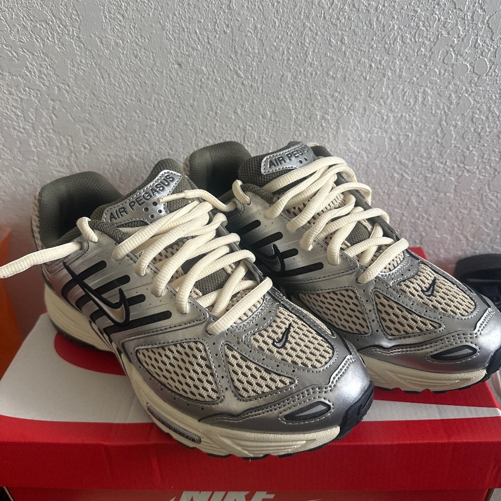 Nike Air Pegasus 2005